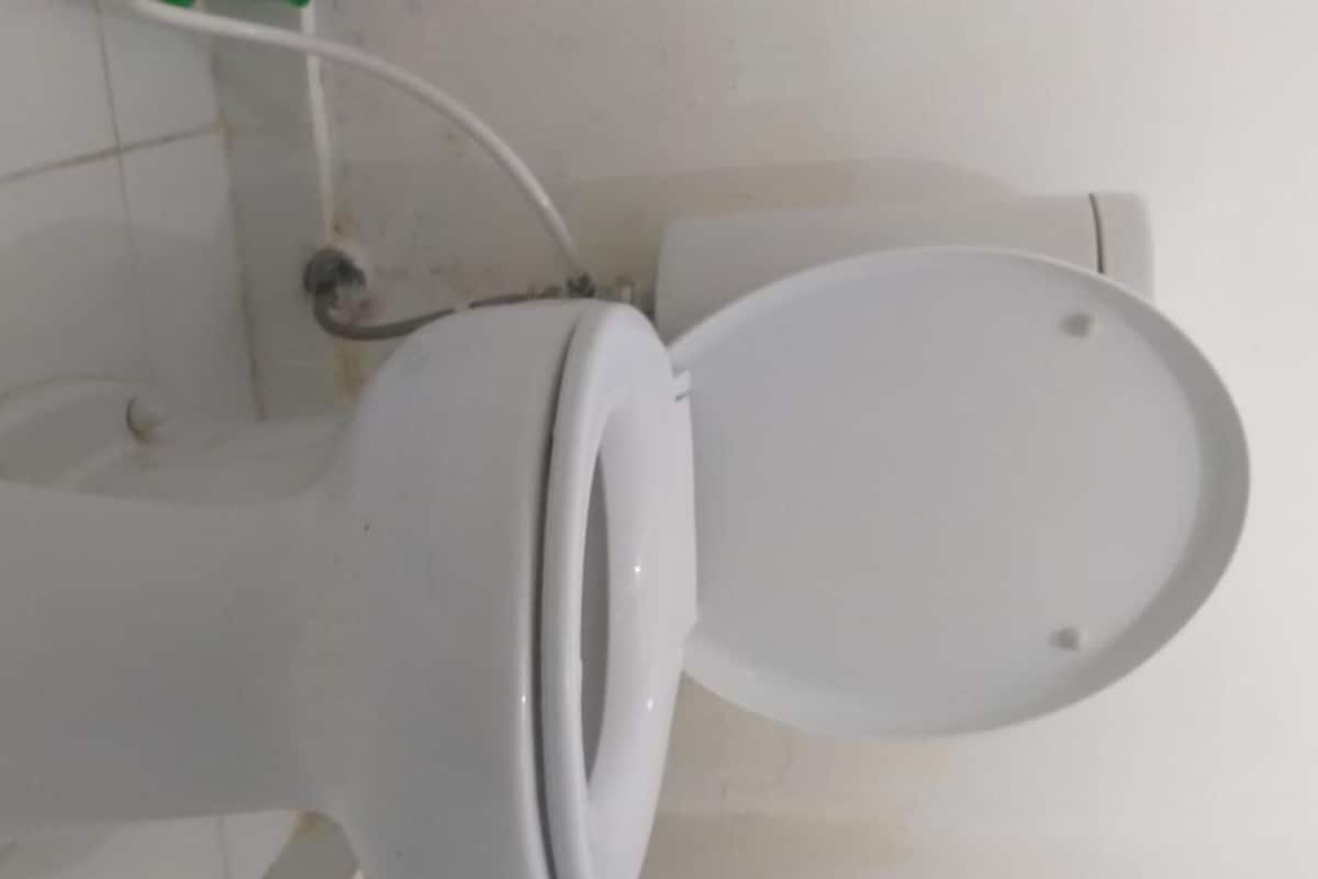 shower, hydromassage showerhead, free toiletries, slippers