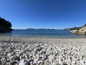 Apartment (Studio Apartment) | Beach