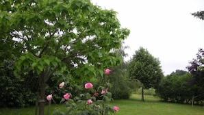 A garden with a rose bush and a large tree. - **Spacious Gîte Near Argenton-sur-Creuse: 2 Houses, Garden, Parking, Family-Friendly** (Argenton-sur-Creuse)