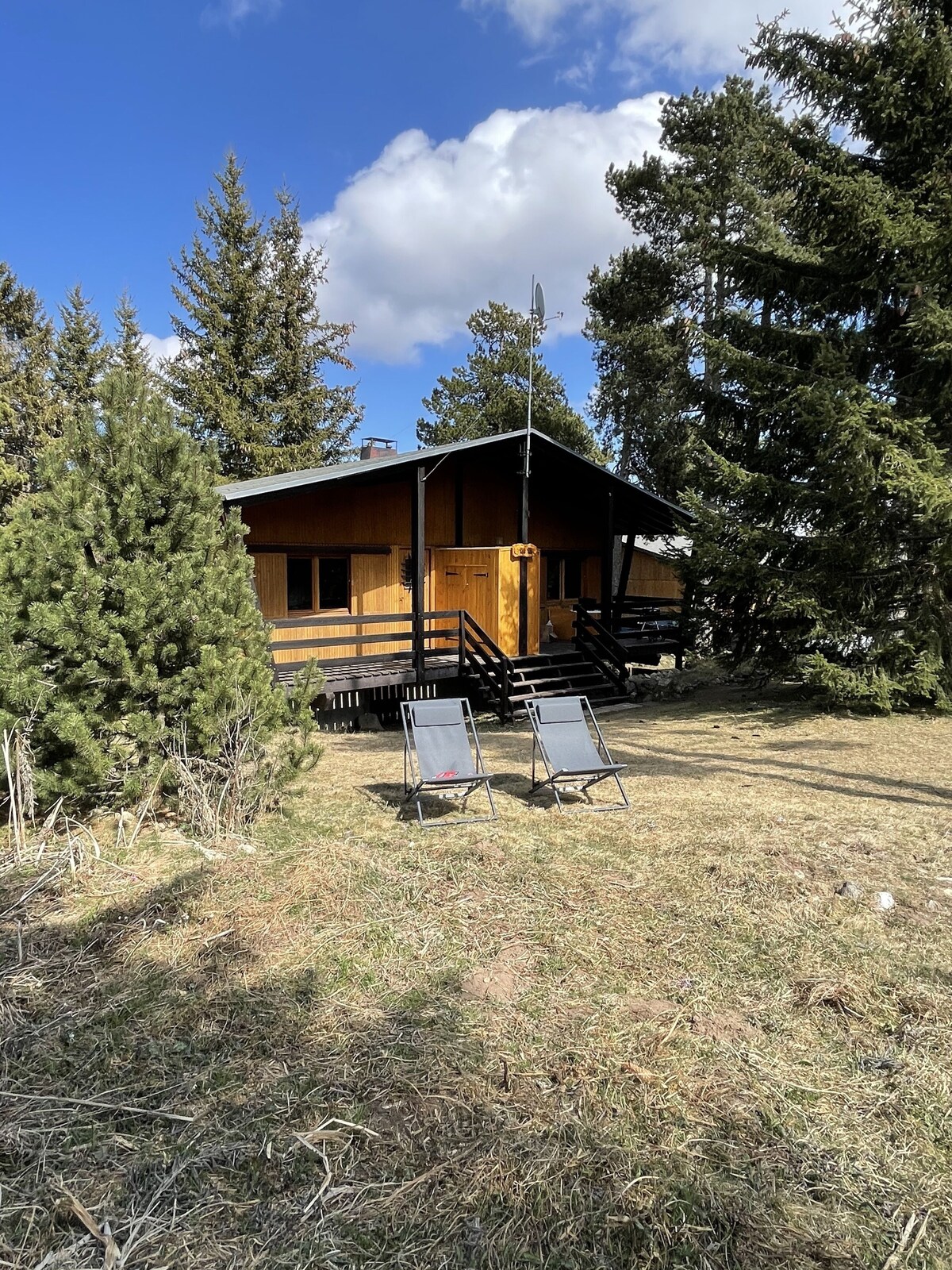 オーナーのプロフィール画像