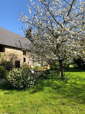 Jardines del alojamiento