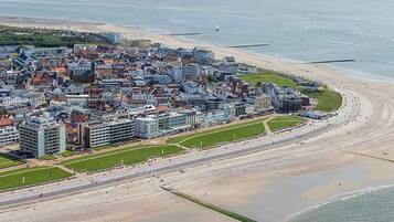 Helicopter/plane tours