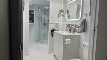 A modern bathroom with a glass shower enclosure, a vanity with a mirror, and a toilet.