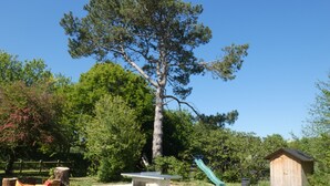 Een achtertuin met een picknicktafel, een glijbaan, een houten tuinhuisje en een grote boom.
