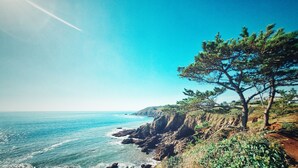 Un paysage côtier caractérisé par un ciel dégagé, des falaises rocheuses et un pin imposant.
