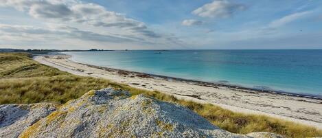 Plage, chaises longues