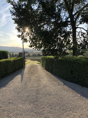 Property grounds - Villa with Heated pool Casa Fontanelle our property for rental in Umbria, Italy (OLMETO MARSCIANO PERUGIA)