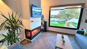 TV, fireplace, books