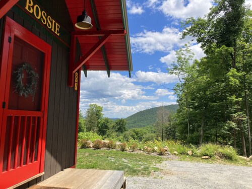 Handcrafted mountain cabin with gorgeous views