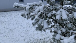 Una casa cubierta de nieve con techo de paja y chimenea visible.