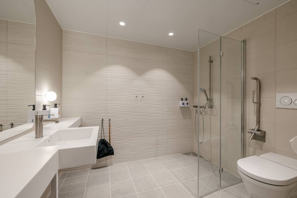 deluxe double room, non smoking (king) | bathroom | shower, free toiletries, towels, soap