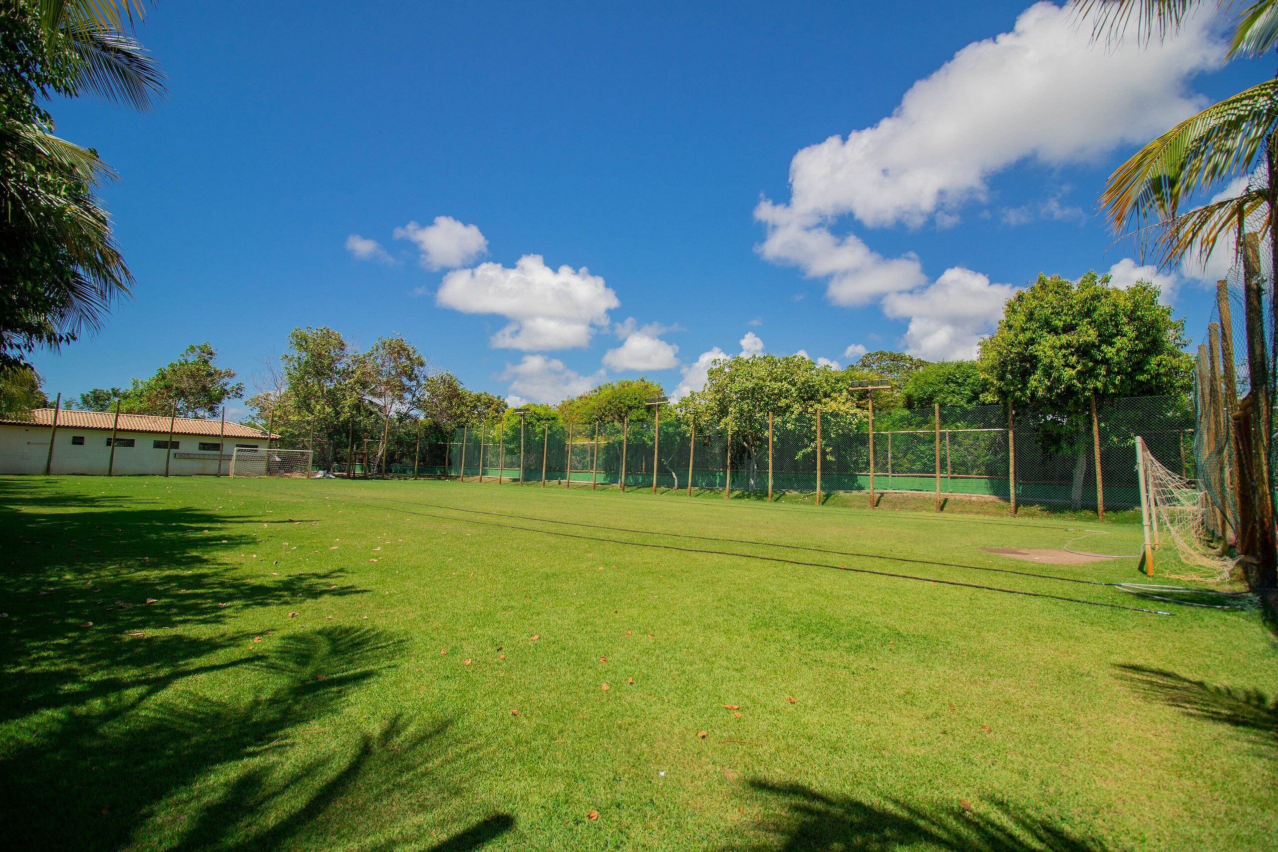 Un campo césped cuidado con un campo de béisbol, rodeado de árboles y una valla.