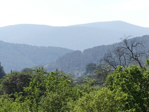 Miscellaneous - The charm of a Provencal country house (SOLLIES PONT)