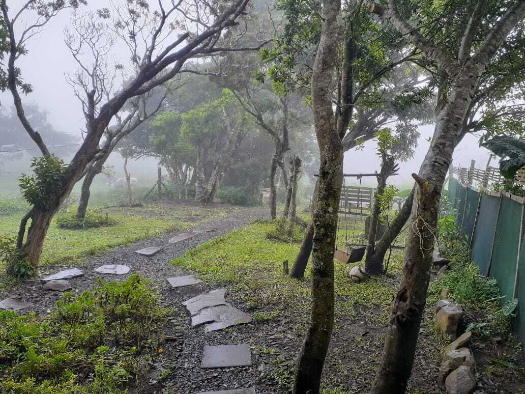 Nhà Economy, 2 phòng ngủ | Quang cảnh vườn