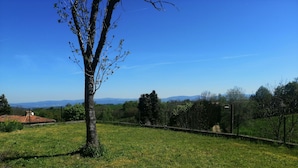 Un champ verdoyant avec un arbre et une vue lointaine sur des montagnes.