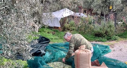 Traditional Cretan stone cottage on the semi-rural outskirts of Kefalas, Vamos