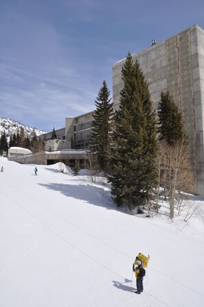 Snow and ski sports