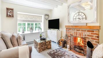 TV, fireplace, Netflix, streaming services