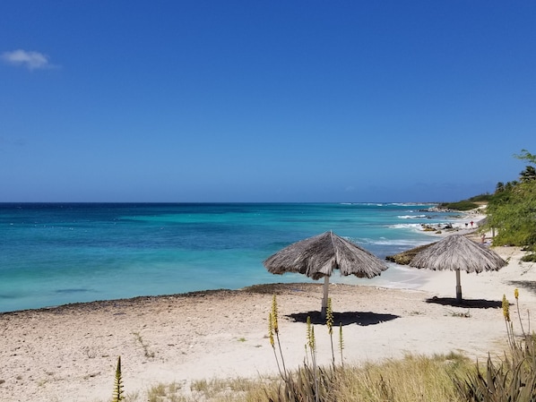 Plage à proximité, chaises longues, serviettes de plage