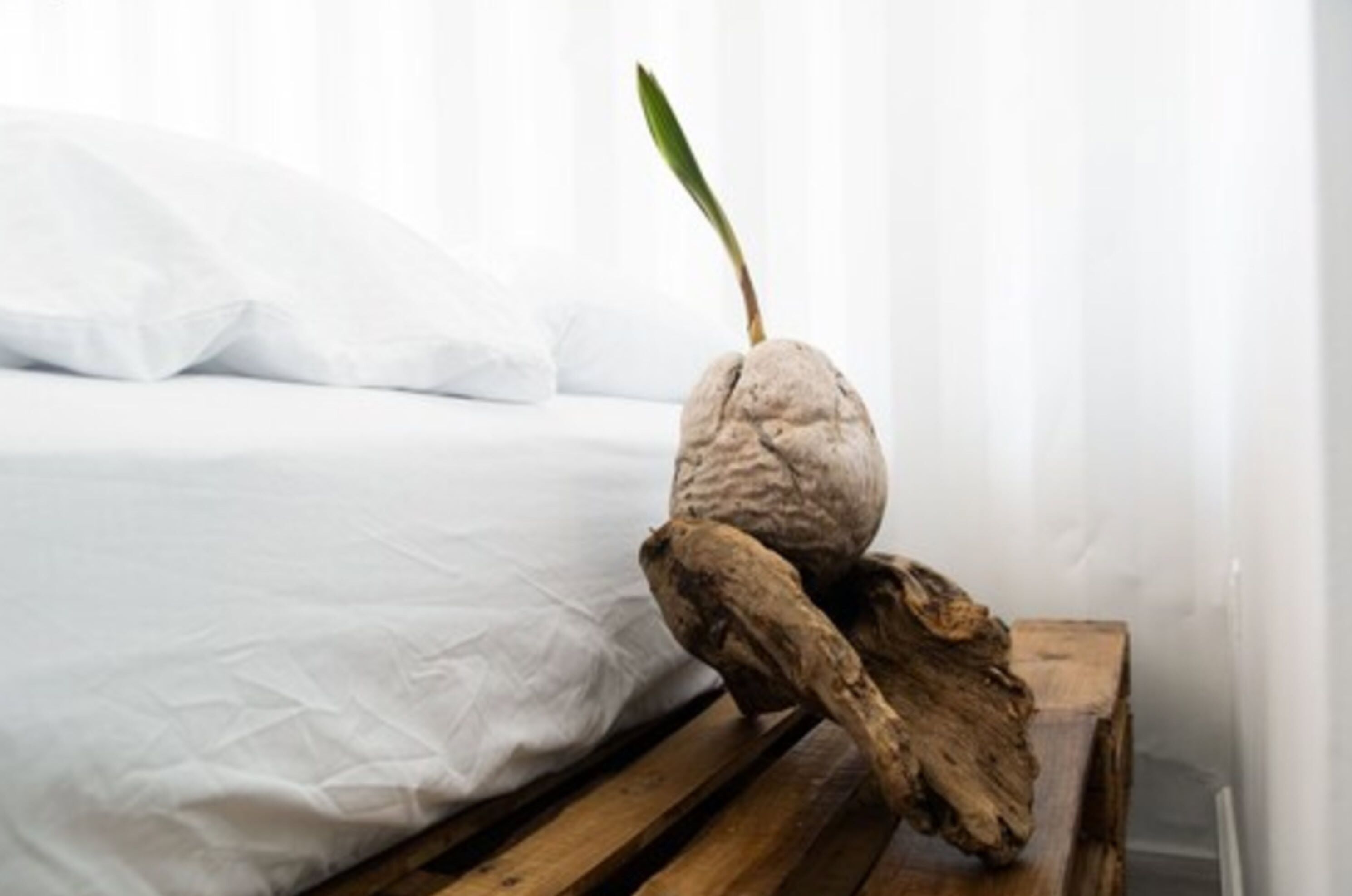 family apartment, 1 queen bed with sofa bed, kitchen, beach view | 1 bedroom, premium bedding, memory-foam beds, blackout curtains