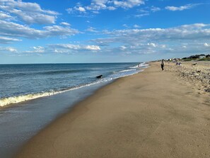 En la playa y camastros