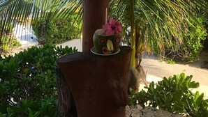 Um grande cachepot de terracota com rosto decorativo, colocado ao ar livre perto de uma palmeira e um caminho de concreto.