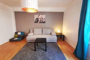 TV, books - Studio Langstross, Grand'Rue, Hypercentre (Strasbourg)