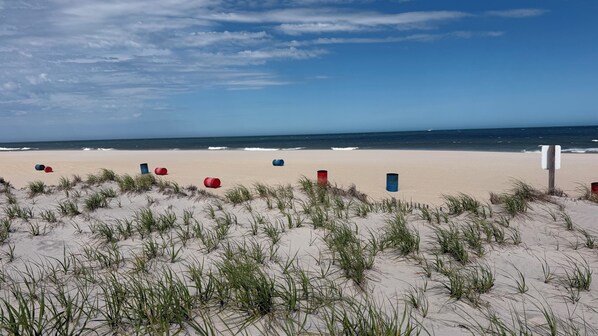 Une plage de sable avec des dunes et quelques barils éparpillés.