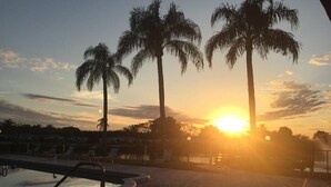 Una piscina con lettini e palme al tramonto.