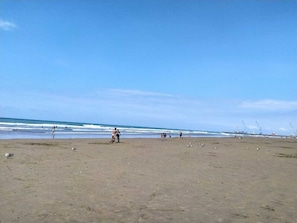 Guests can enjoy a serene beach experience with access to the calm sea.