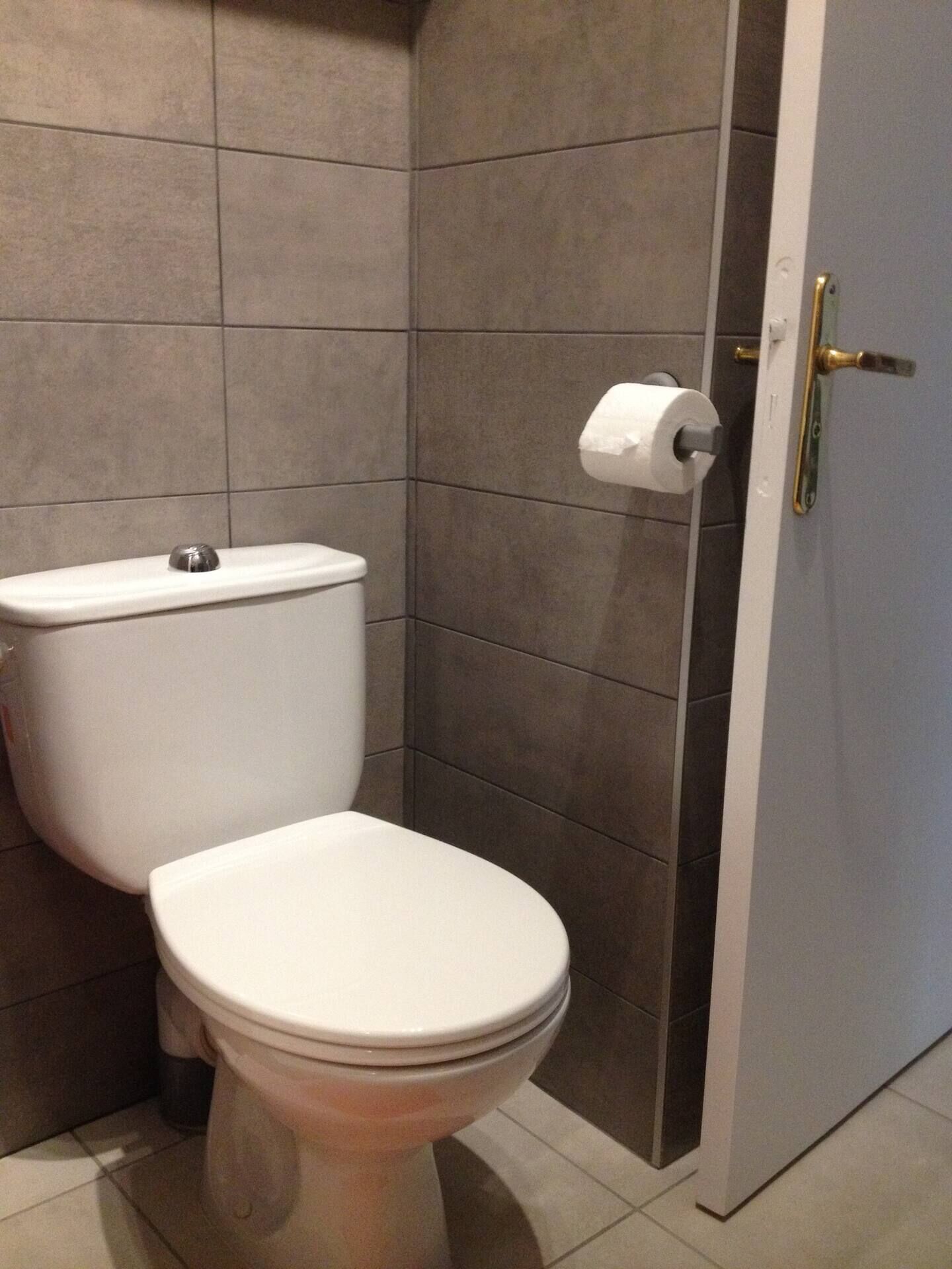 Une salle de bain équipée de toilettes, d’un porte-rouleau de papier toilette et d’une porte dotée d’une poignée en laiton.