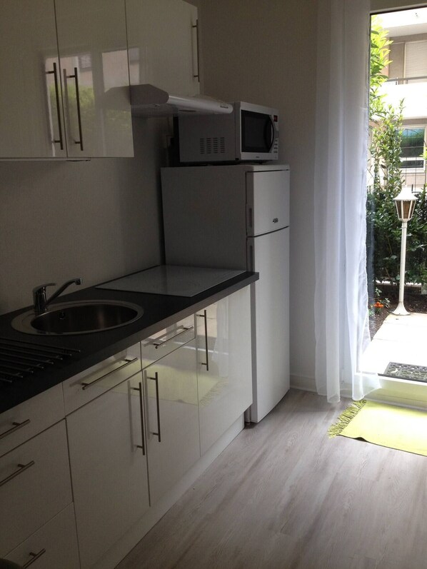 Fridge, microwave, oven, stovetop - "Le Croix Roussien " Lyon center 1 to 4 persons Rated 3 *** (Lyon)