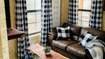 Smart TV, fireplace, DVD player, books