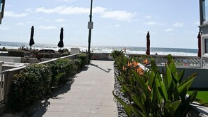 Una passeggiata lungomare con vista libera sull'oceano, un sentiero alberato e un edificio con un balcone in vetro.