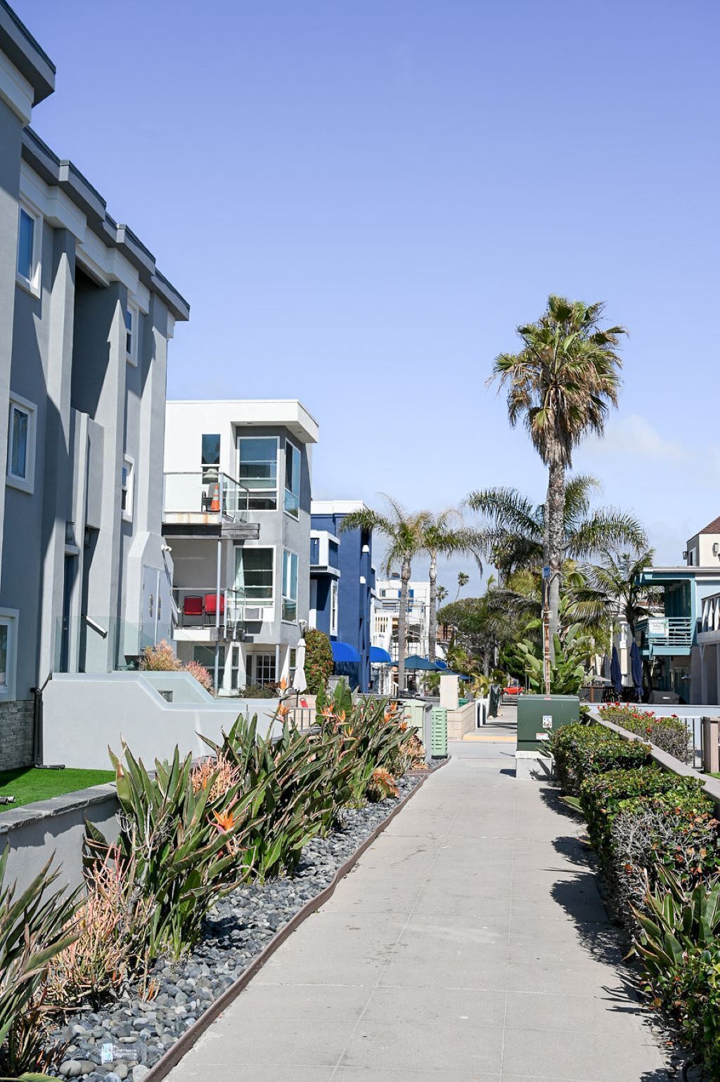 A modern urban street with multi-story buildings, a sidewalk lined with plants, and palm trees.