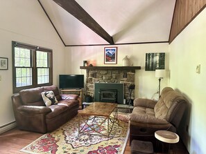 TV, fireplace, video games