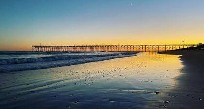 Surf City • Views, Views, and more Views!