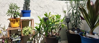 Tropical Oasis 2/2 Walk to Beach w/ Private Yard