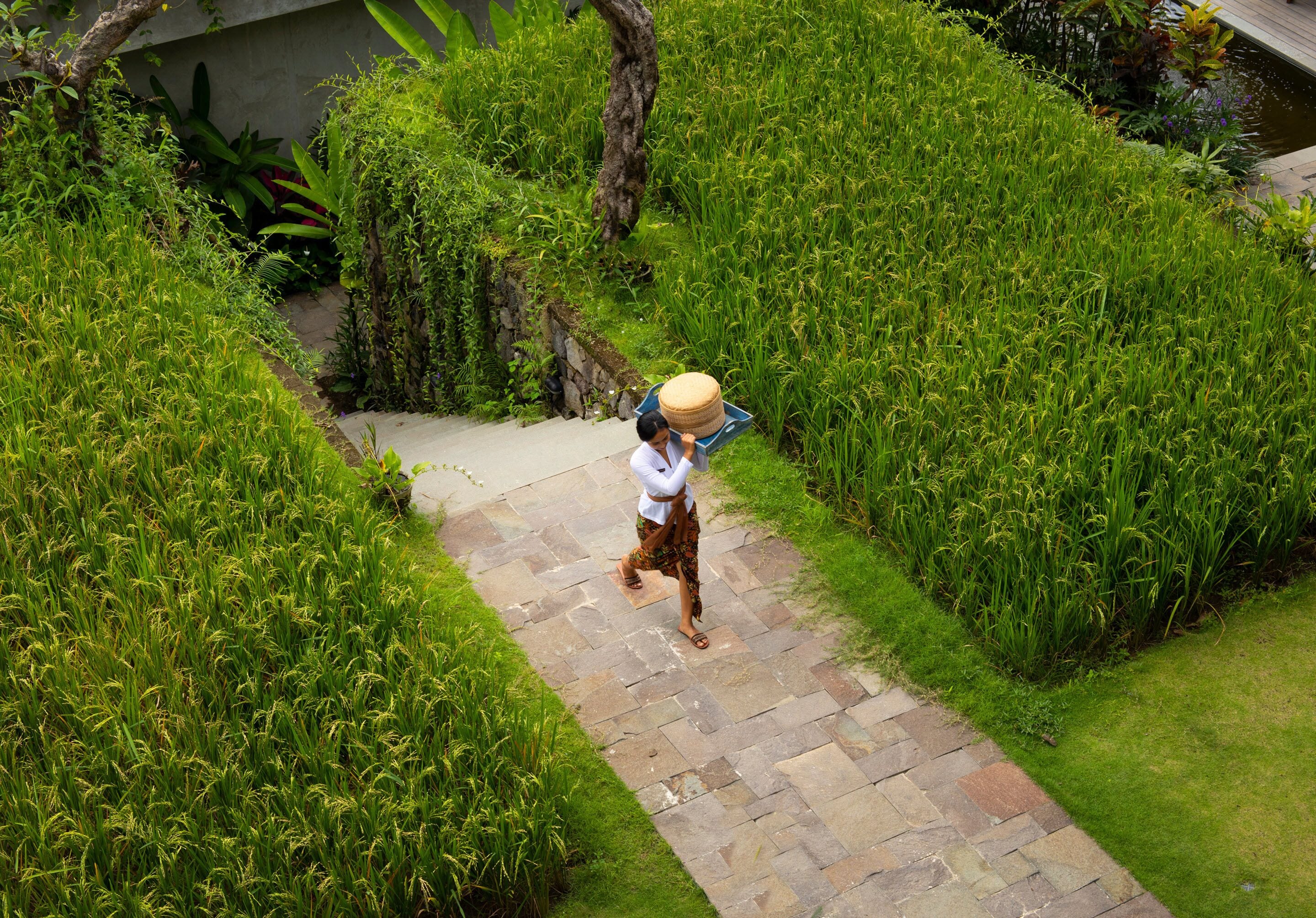 Photo - Adiwana Suweta