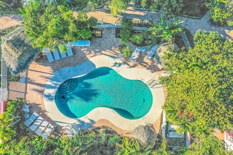温水プール. Freshly Remodeled Island Suite w/ Pool & Pet Friendly