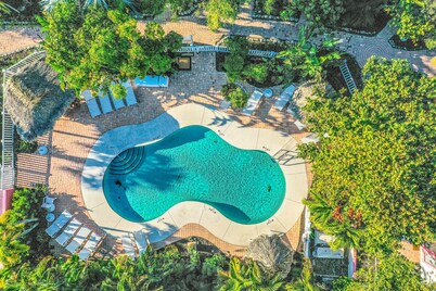 Freshly Remodeled Island Suite w/ Pool & Pet Friendly