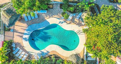 Freshly Remodeled Island Suite w/ Pool & Pet Friendly