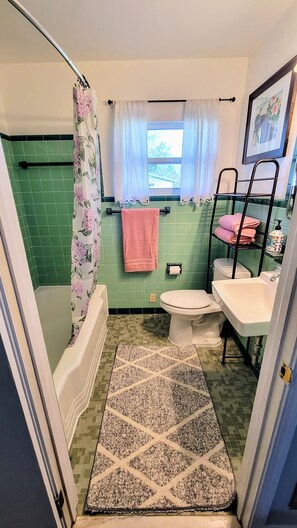 Bathtub, towels, toilet paper