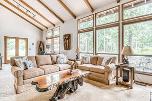 TV, fireplace, video games, DVD player