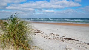 A beach with sand and sparse vegetation. - HEATED Pool! Amazing Ocean Views, Less than 1 Mile to Beach Access at Inlet, $300 in Free Tickets! (St. Augustine)