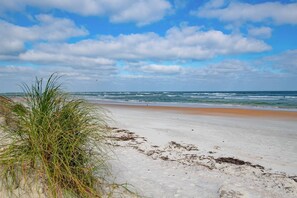 Beach nearby, beach towels, surfing, motor boating - HEATED Pool! Amazing Ocean Views, Less than 1 Mile to Beach Access at Inlet, $300 in Free Tickets! (St. Augustine)