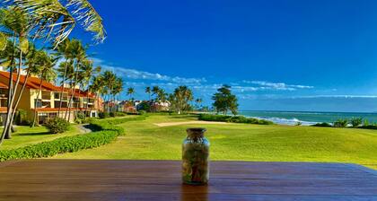 Gorgeous View- Beach Village at Palmas Del Mar