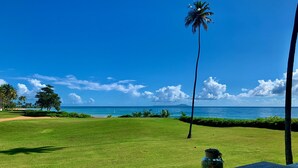 A view of a golf course with a clear blue sky, palm trees, and the ocean in the background. - Gorgeous View- Beach Village at Palmas Del Mar (Palmas del Mar)