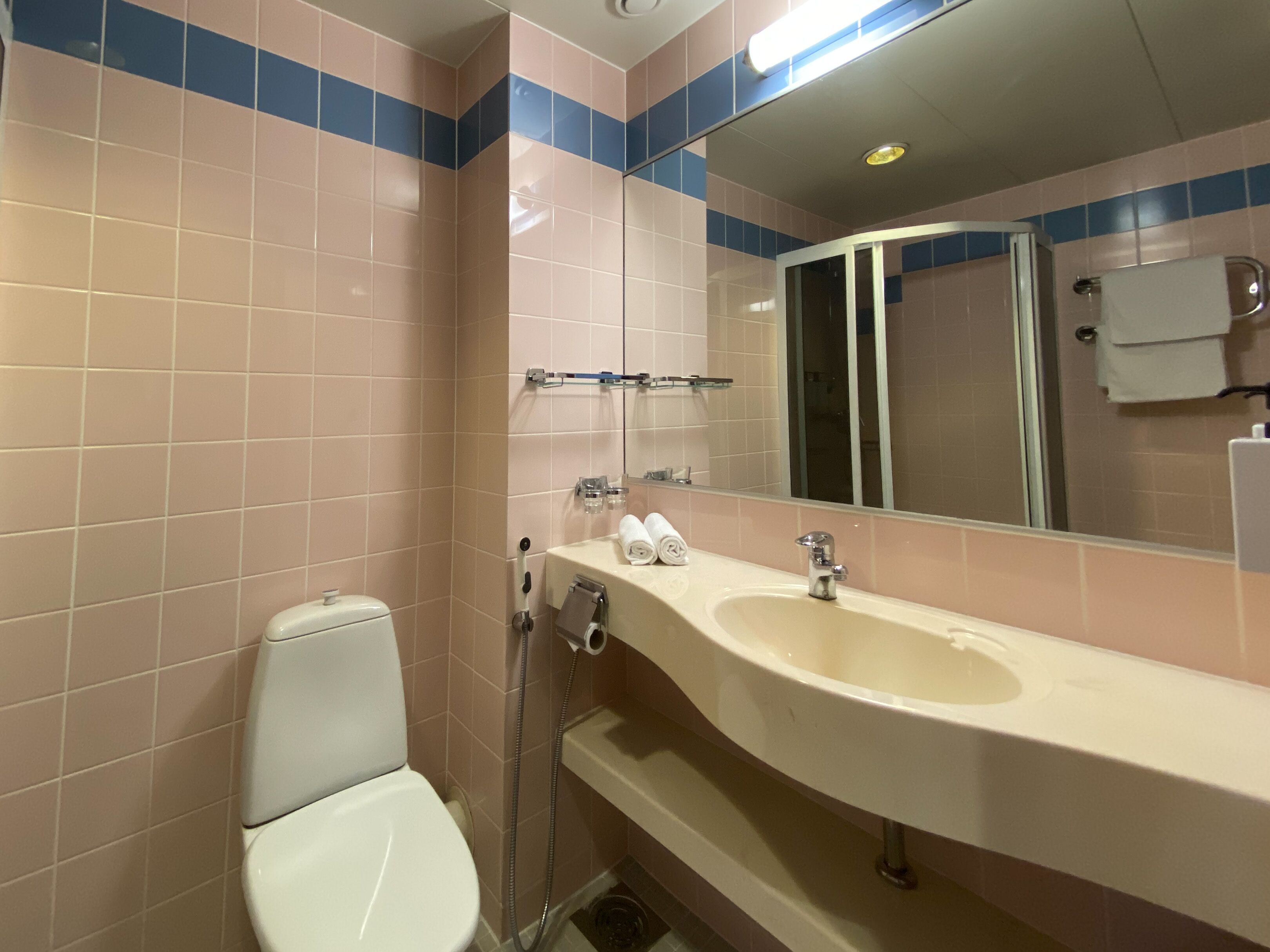 standard single room | bathroom | shower, hair dryer, bidet, towels