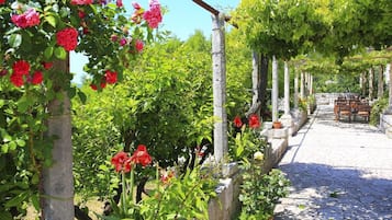 Chambre avec lits jumeaux (Superior Double Room - Soba 3) | Extérieur